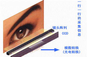 掃描儀原理完全剖析（圖六）